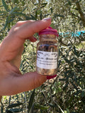 SPELL JAR FÉMININ SACRÉE