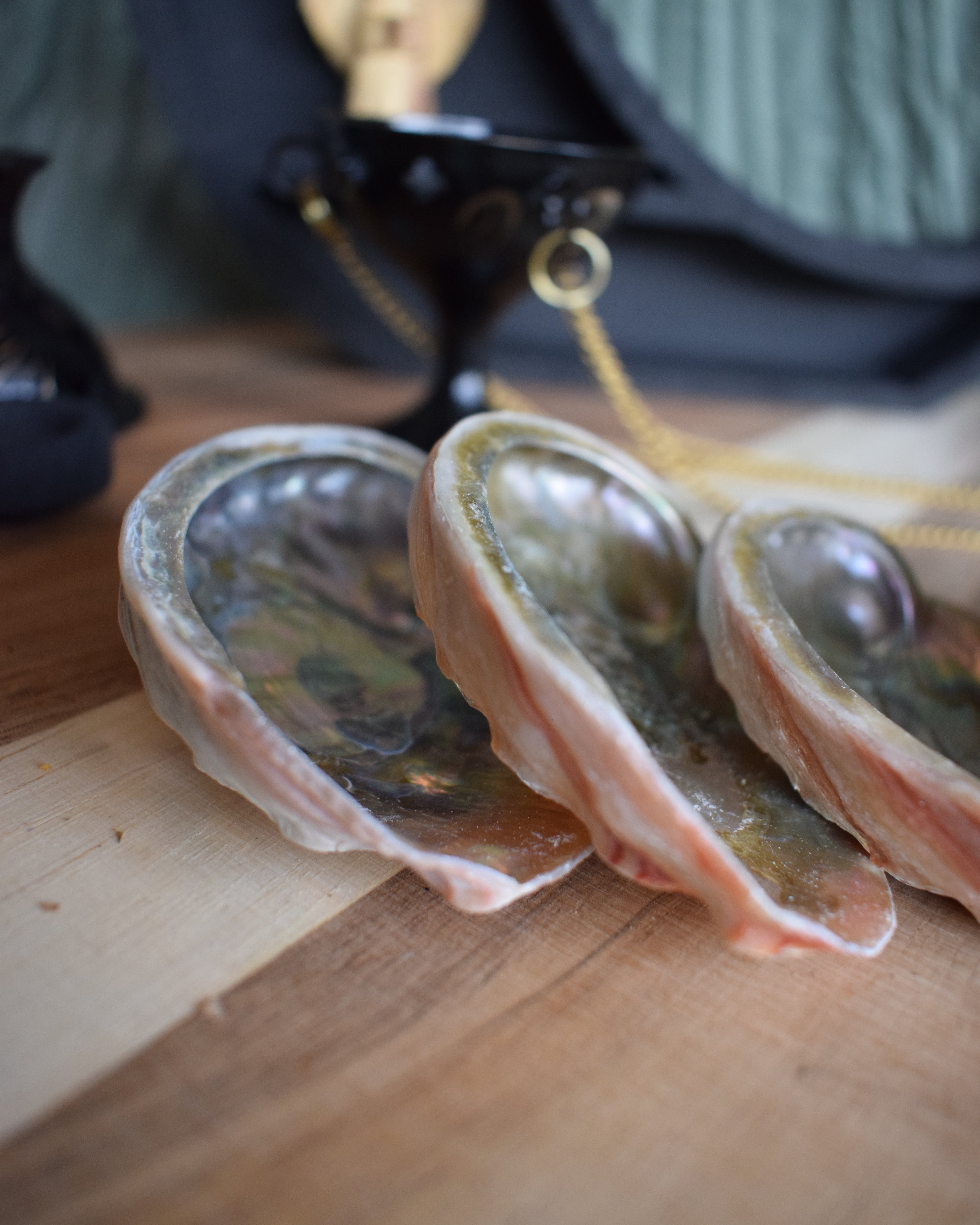 Coquille d'avalon - Petite