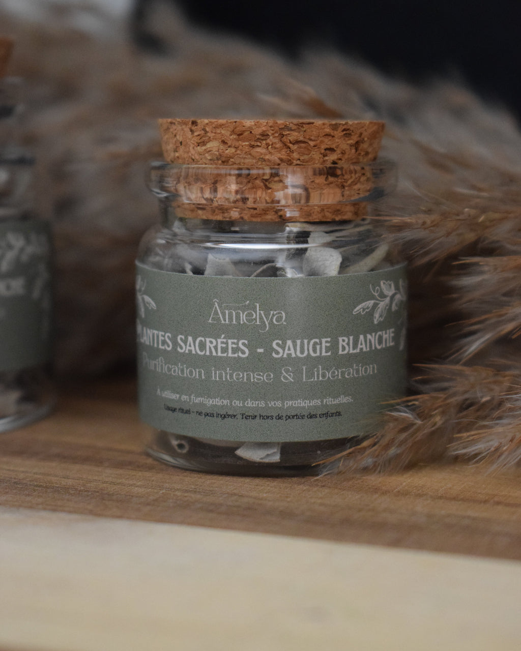 Sauge blanche - Purification intense & Libération - Plante sacrée