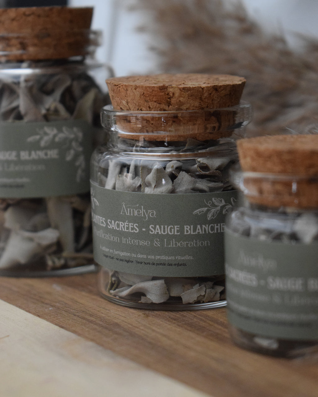 Sauge blanche - Purification intense & Libération - Plante sacrée