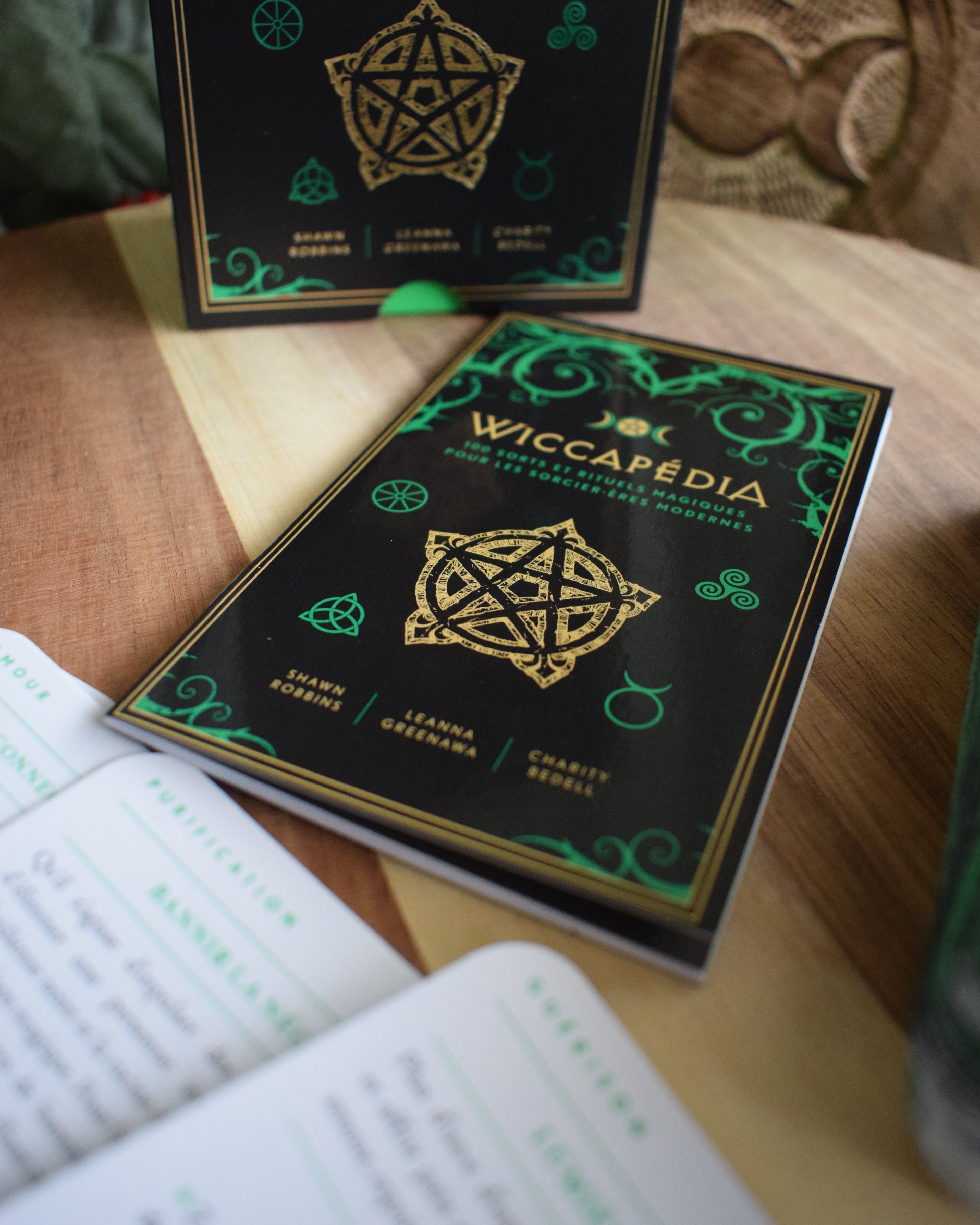 Wiccapédia - 100 sorts & rituels