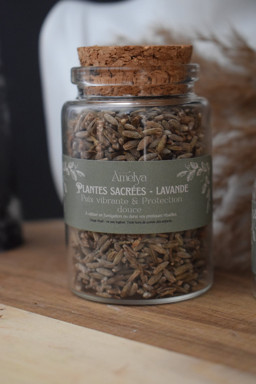 Lavande - Paix vibrante & Protection douce - Plante sacrée