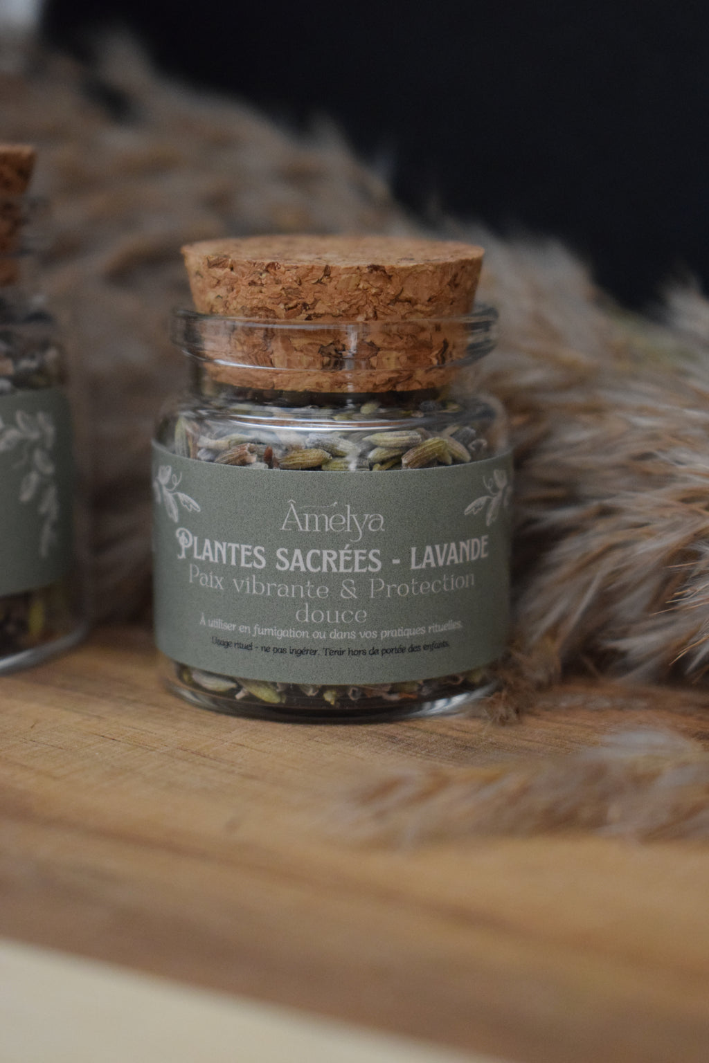Lavande - Paix vibrante & Protection douce - Plante sacrée