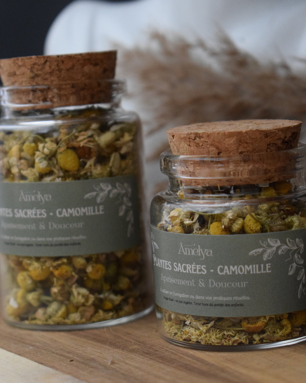 Camomille - Apaisement & Douceur - Plante sacrée