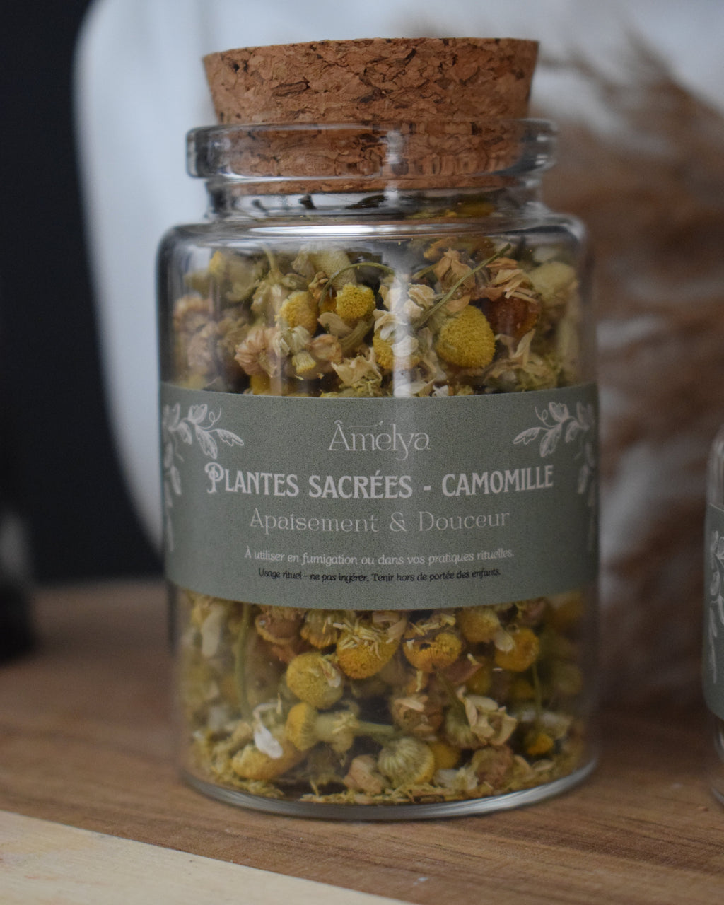 Camomille - Apaisement & Douceur - Plante sacrée
