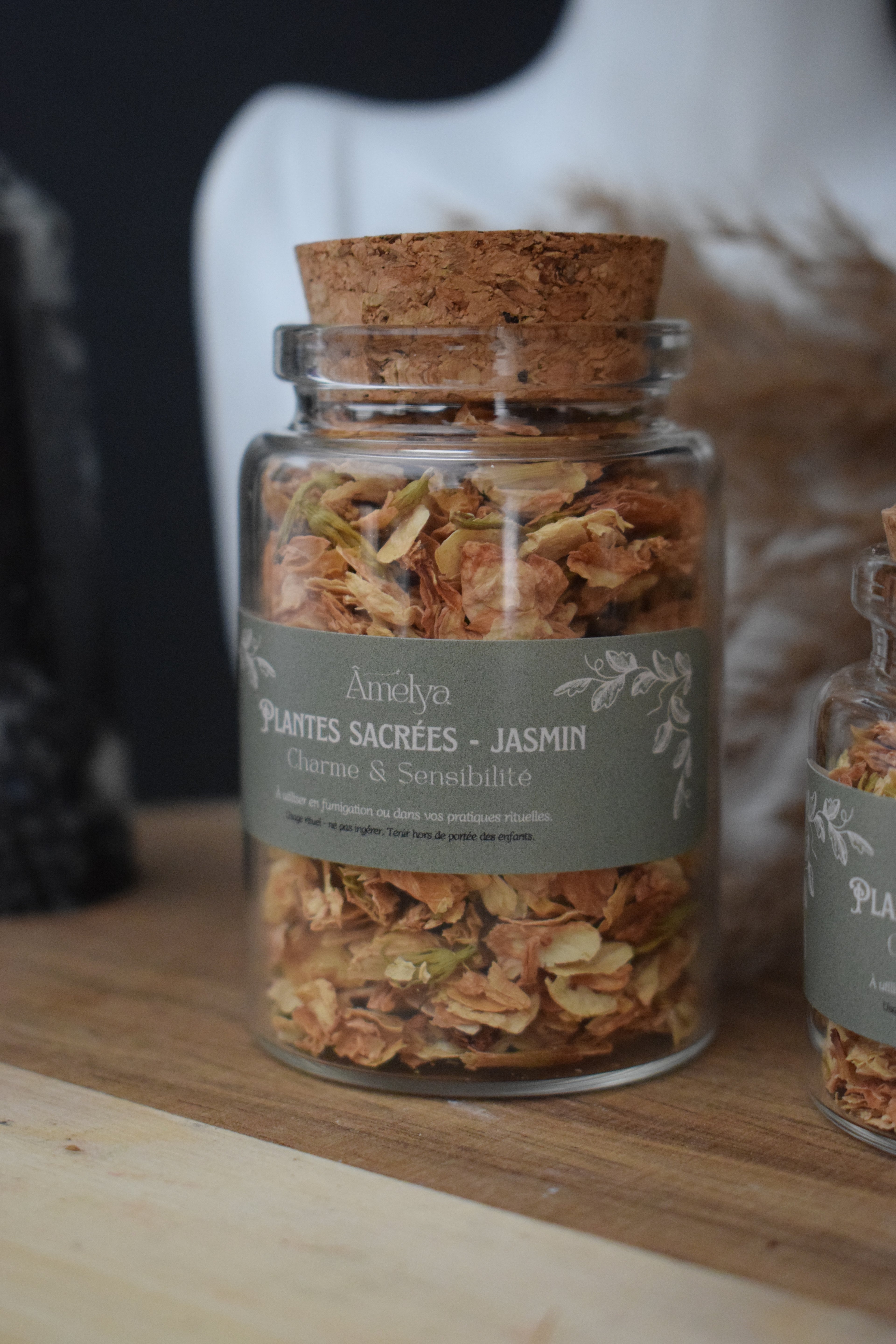 Jasmin - Charme & Sensibilité - Plante sacrée