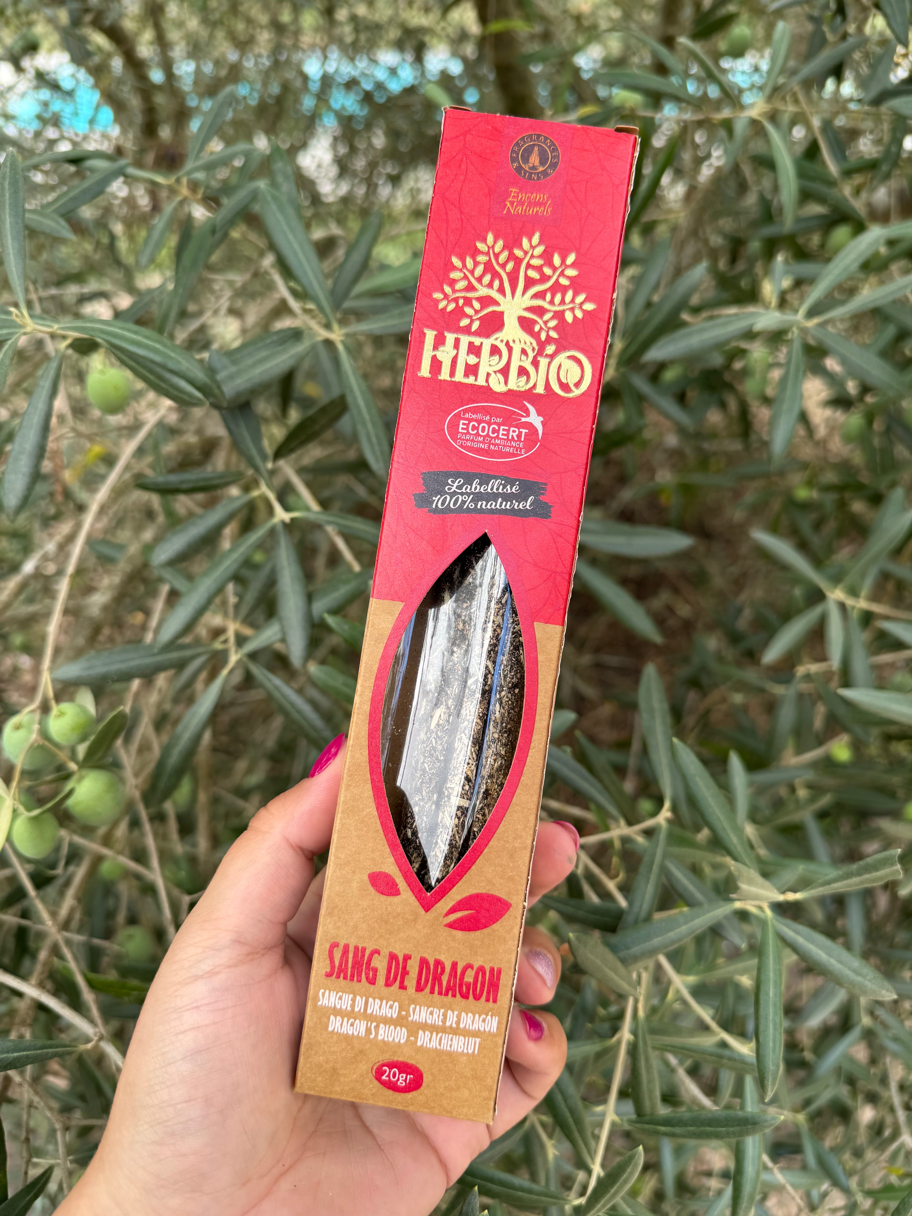 Sang de dragon - Herbio - Encens en bâtons