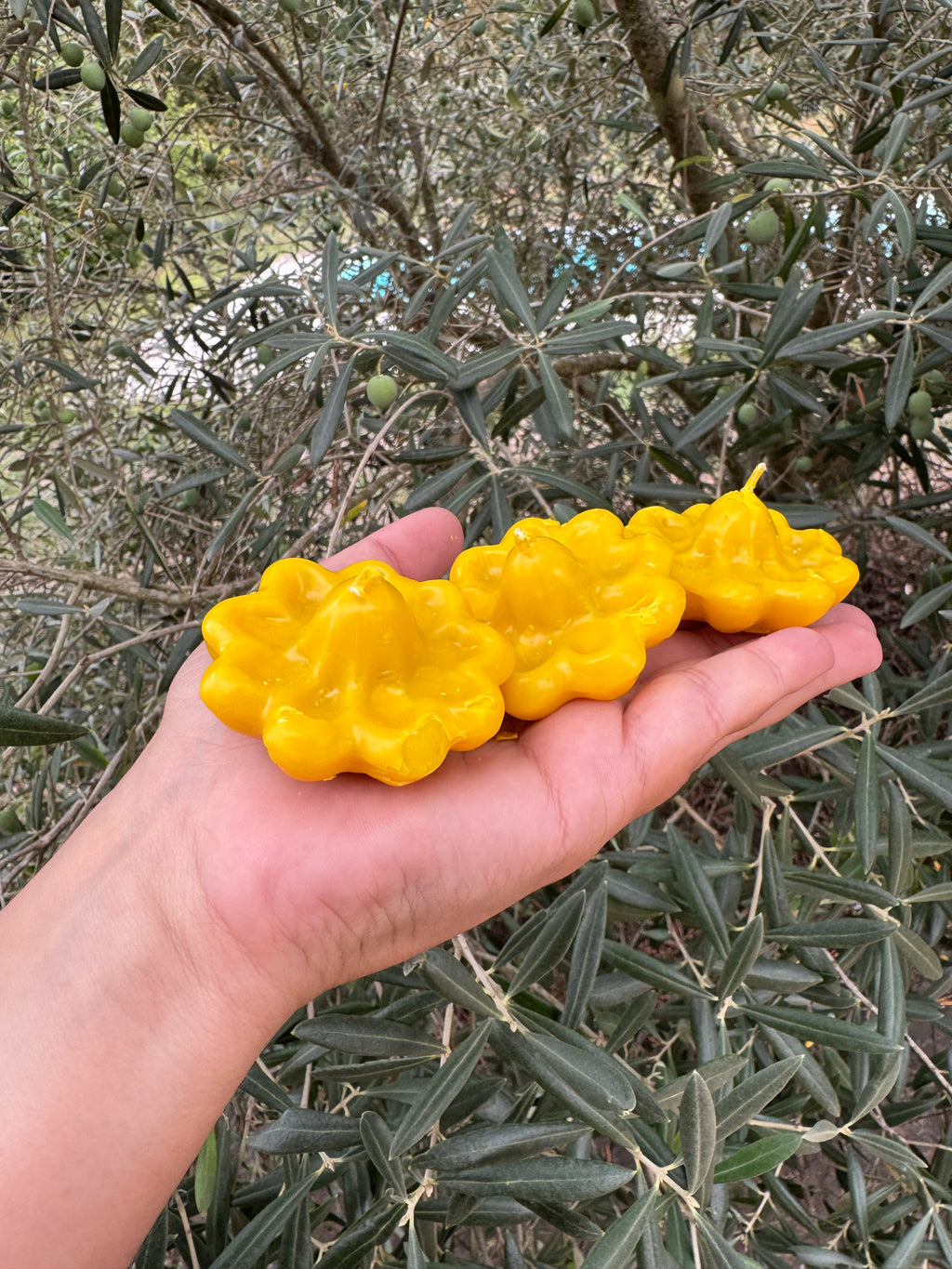 Les fleurs de l'abondance - Bougies Macumba