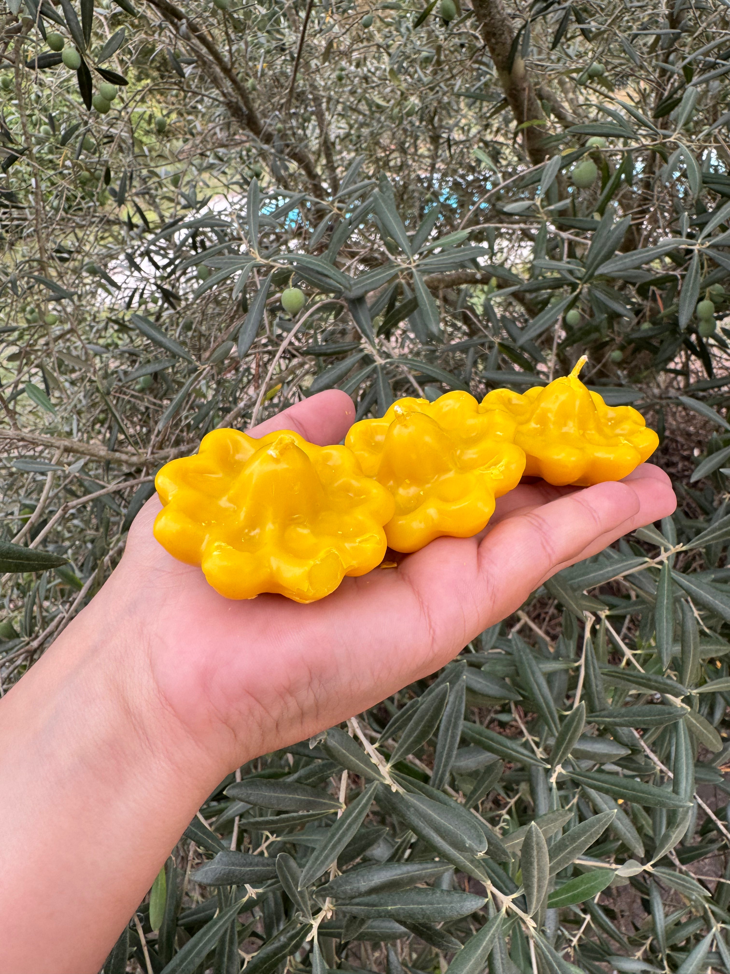 Les fleurs de l'abondance - Bougies Macumba