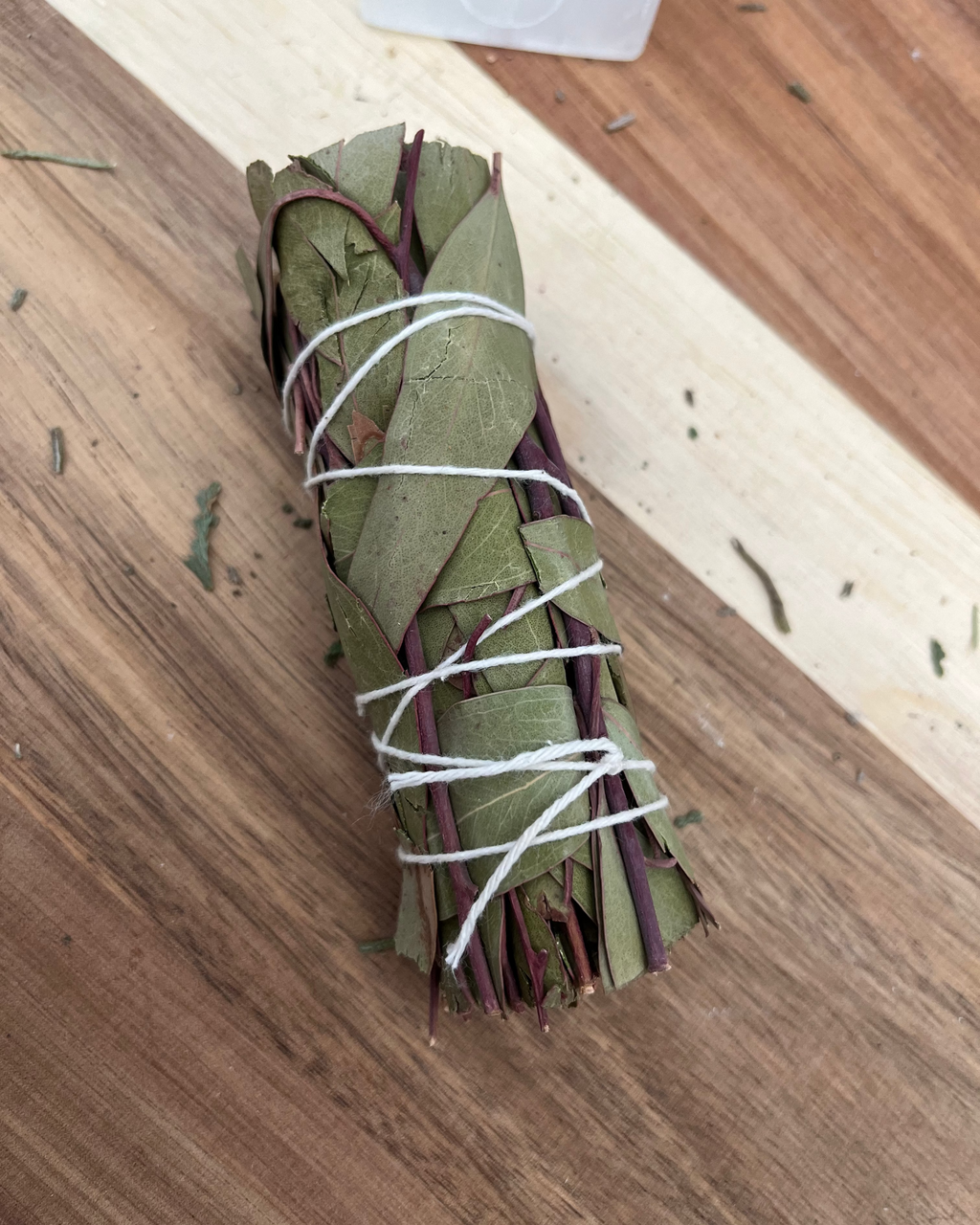 Fagot d'Eucalyptus - 10cm