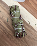 Fagot d'Eucalyptus - 10cm